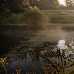 Maison Surplombant L'etang Avec Bain Nordique Holiday home