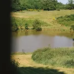 Maison Surplombant L'etang Avec Bain Nordique Holiday home