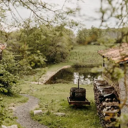 Maison Surplombant L'etang Avec Bain Nordique Busserolles