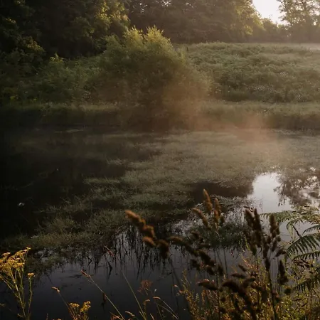 Maison Surplombant L'etang Avec Bain Nordique Prázdninový dům