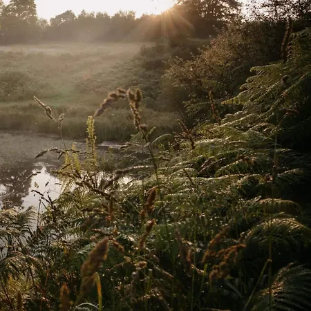 Maison Surplombant L'etang Avec Bain Nordique