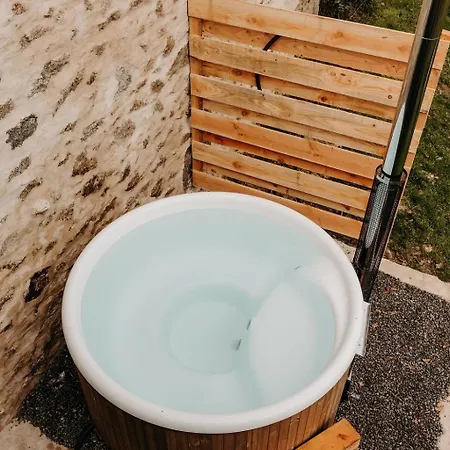Maison Surplombant L'etang Avec Bain Nordique Busserolles