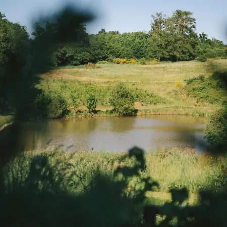 Maison Surplombant L'etang Avec Bain Nordique *