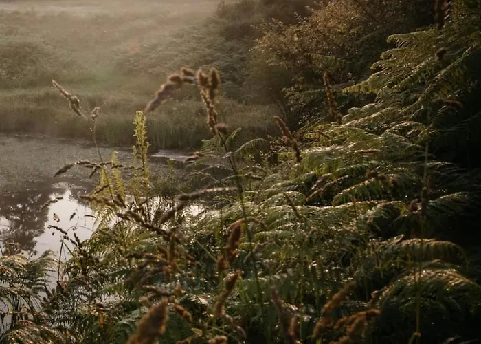 Maison Surplombant L'etang Avec Bain Nordique